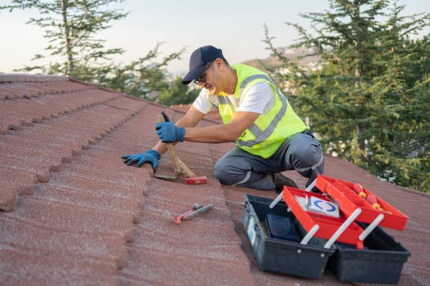 Best Roof Leak Repair  in South Bend, WA