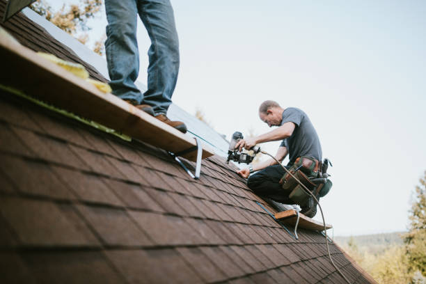 Best Metal Roofing Contractor  in South Bend, WA