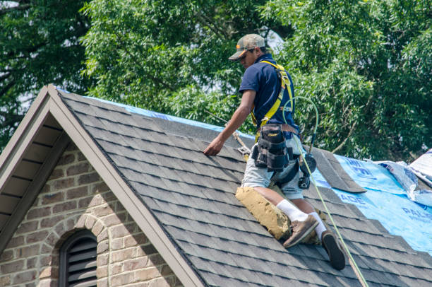 Best Roof Leak Repair  in South Bend, WA